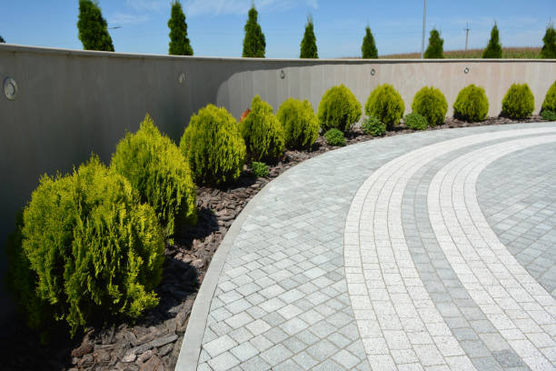 Best Driveway Pavers Near Me  in Riverton, WY